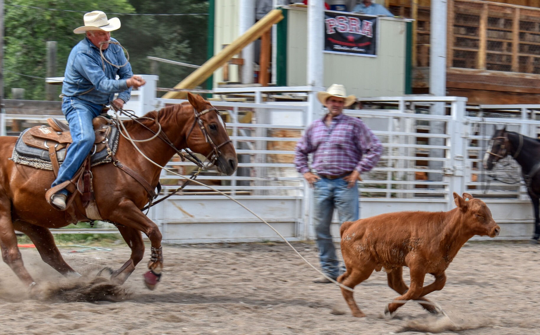 Kent-Mosher-DSC_0159.jpg